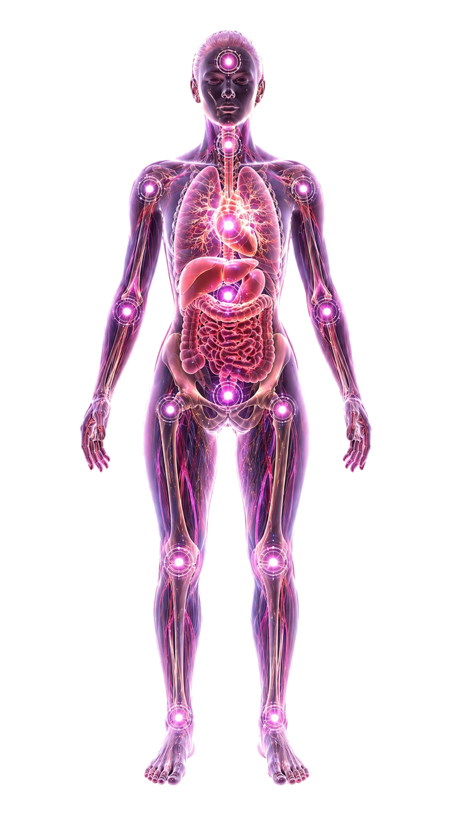 Interactive female anatomy — tap any area to discover BRL remedies